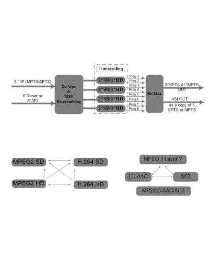 HOP28110 trans-coder