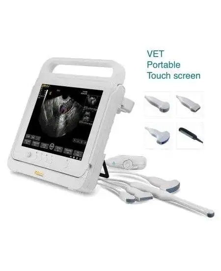 PT60 portable color Doppler ultrasound