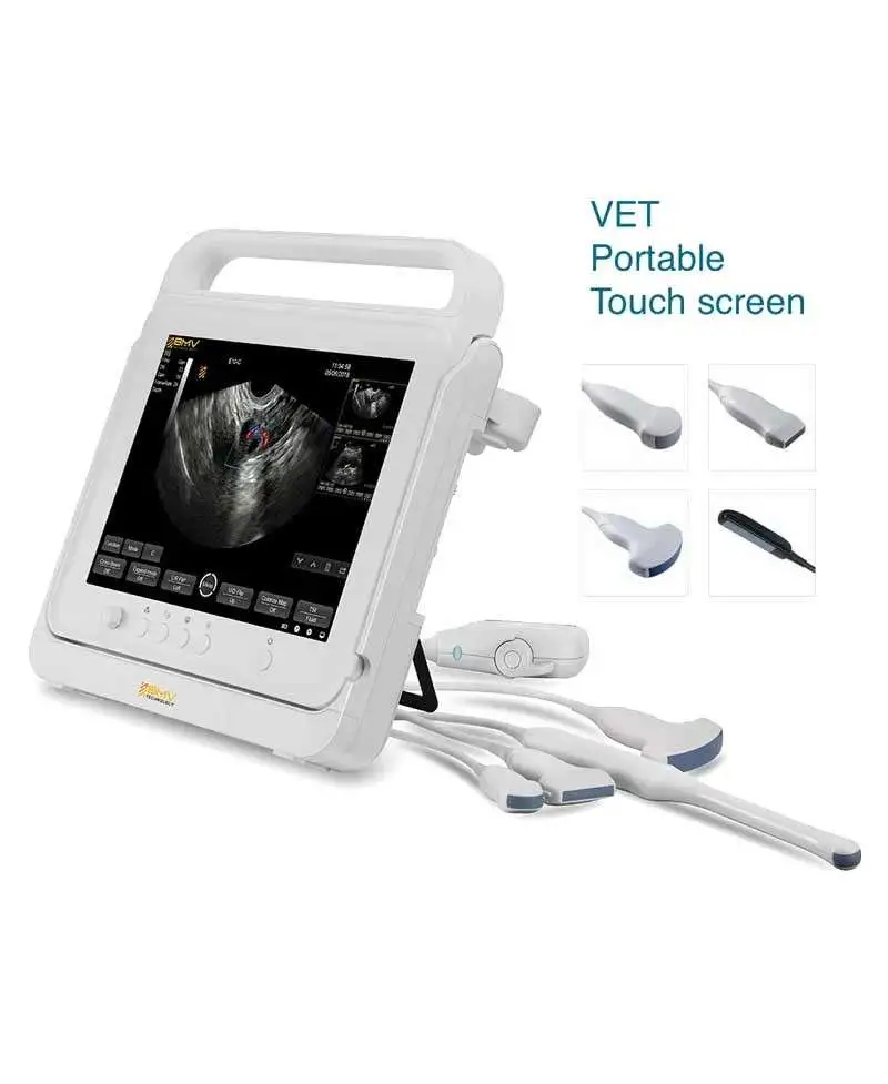 PT60 portable color Doppler ultrasound