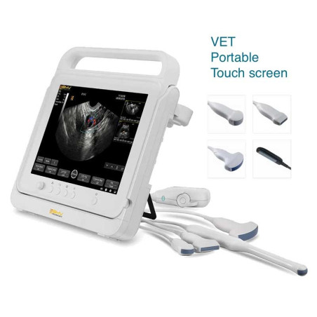 PT60 portativ rəngli Doppler ultrasəs