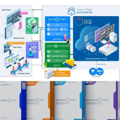 AXXON one license