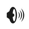  Voice and Video 